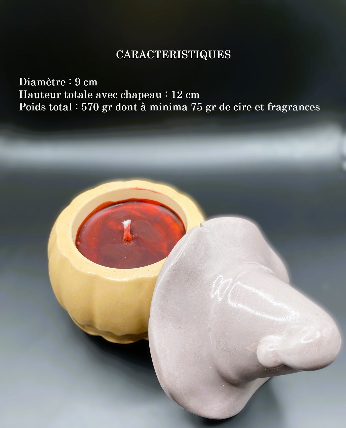 🕯️Bougie citrouille artisanale, création exclusive, Céramique – Cire Écologique / petit format
